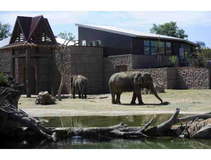 Denver Zoo, Family 4 Pack General Admission Tickets