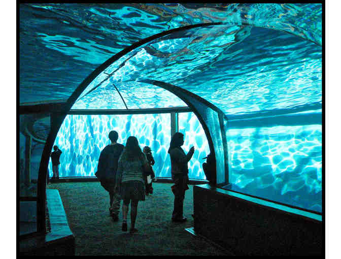 Indianapolis Zoo and White River Family Membership