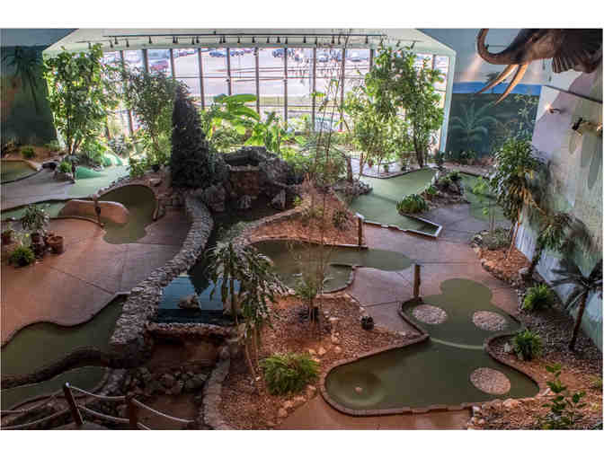 Walther's Golf & Fun Family Fun Pack