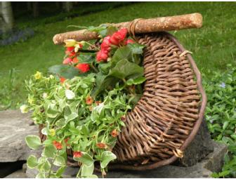Hanging Woven Basket