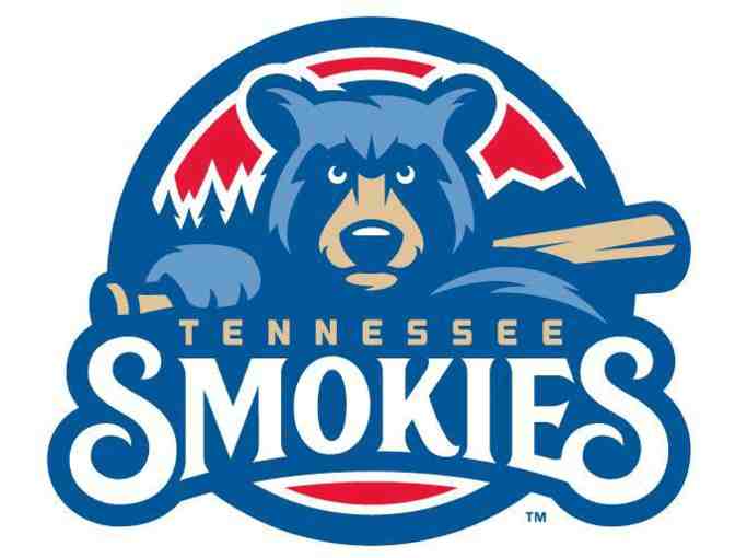 Tennessee Smokies Family Four Pack - Photo 1