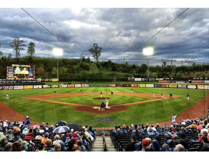 Tennessee Smokies Family Four Pack - Photo 3