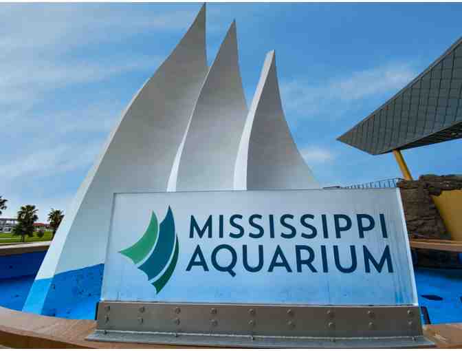 Mississippi Aquarium - Photo 3