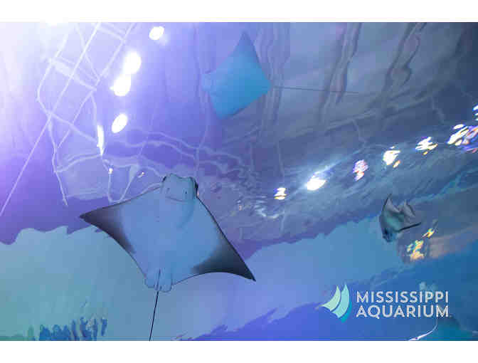 Mississippi Aquarium - Photo 2