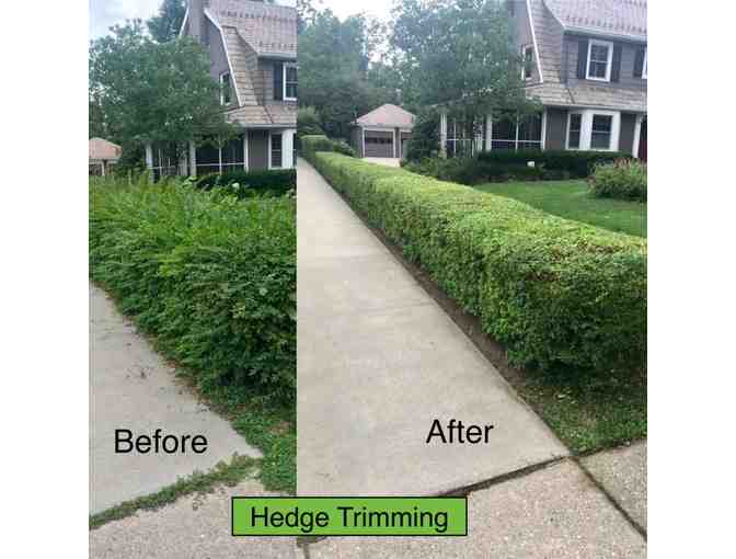 Hedge Trimming by Freddy Walter - Photo 2
