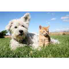 Belvoir Pet Hospital