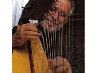 Celtic harp and/or Fingerstyle Guitar Performance