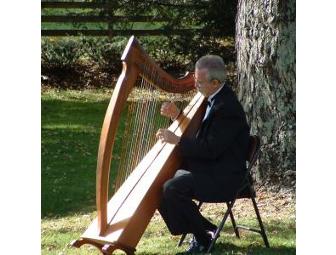 Celtic harp and/or Fingerstyle Guitar Performance