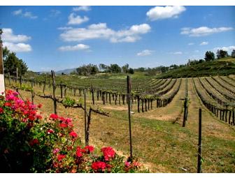 Wine Tour & Lunch For ONE person at Temecula Vally Southern California Wine Country