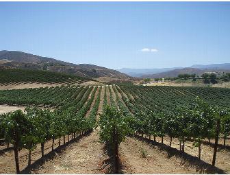 Callaway Vineyard & Winery Certificate for Wine Tour and Tasting in Temecula, CA