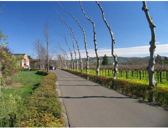 Beautiful PEJU Province Winery Napa Valley Wine Tasting for 8