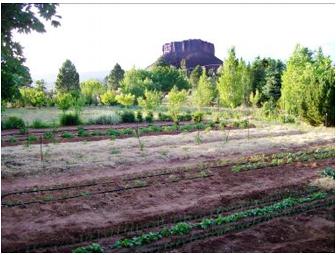 Cheese from Castle Valley Creamery!