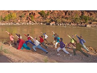 One Private 'Dreaming Awake' Session with Catherine Shank