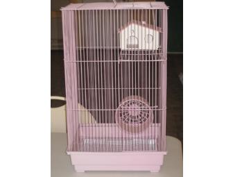 Critter Cage donated by Farm & City Feed