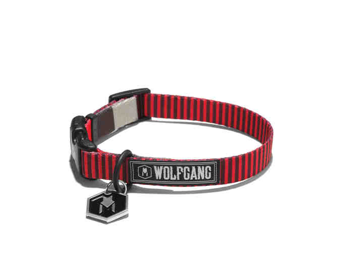 Wolfgang 'VertDash Large Dog Collar' from the Moab BARKery!