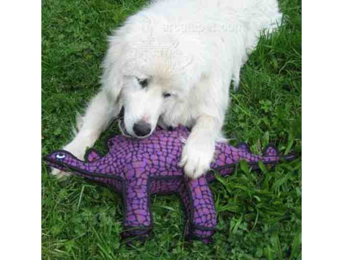 Tuffy Brand Large Stegosaurus Dog Toy from the Moab BARKery!