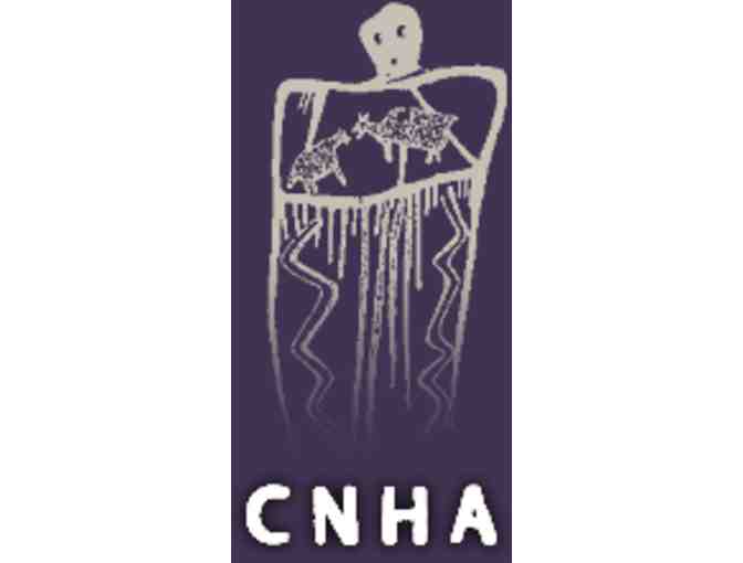 CNHA 'Courthouse Towers' Poster Print