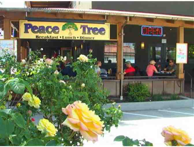 $25 Gift Certificate to the Peace Tree Juice Cafe