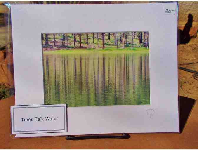 Matted Photo by Artist Deborah Hughes - 'Trees Talk Water' 8x10 from Gallery Moab