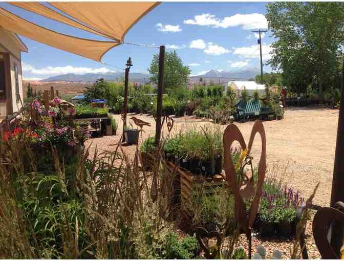 $25 Gift Certificate to Wildland Scapes Nursery