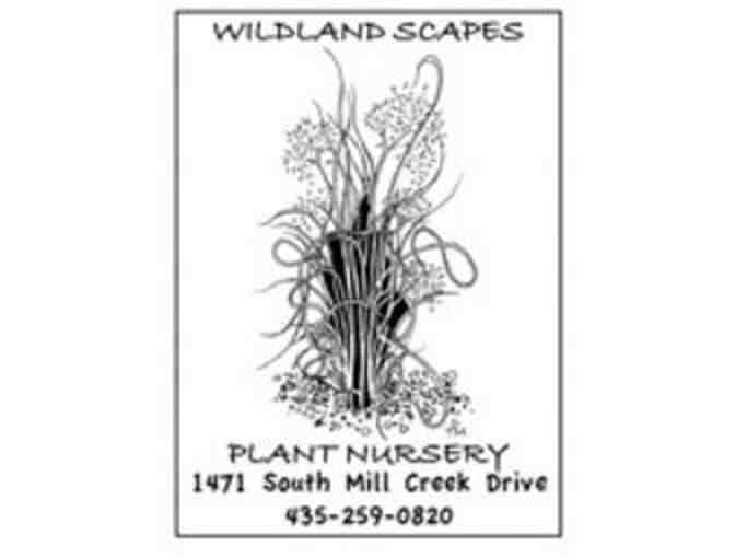 $25 Gift Certificate to Wildland Scapes Nursery