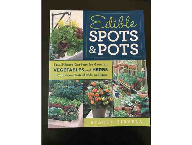 Edible Spots and Pots by Stacey Hirvela