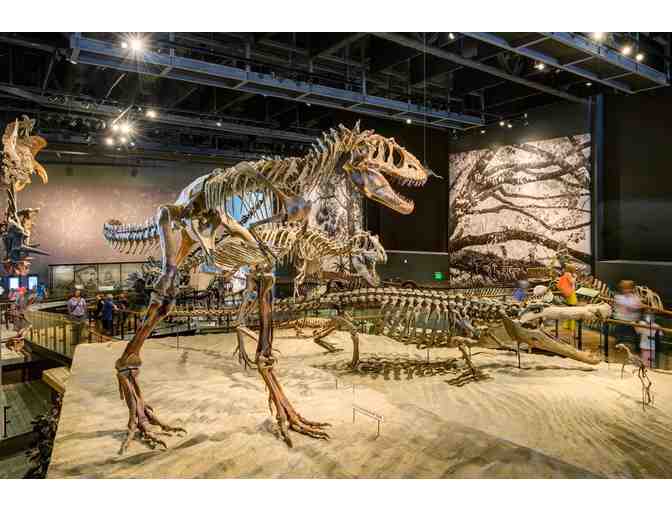 Natural History Museum of Utah, SLC- One day Pass for up to Four People