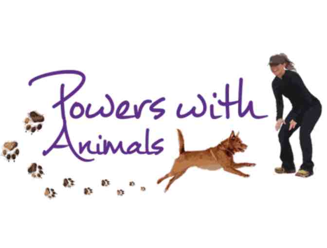 Powers with Animals- One Hour Animal Behavior Therapy Session