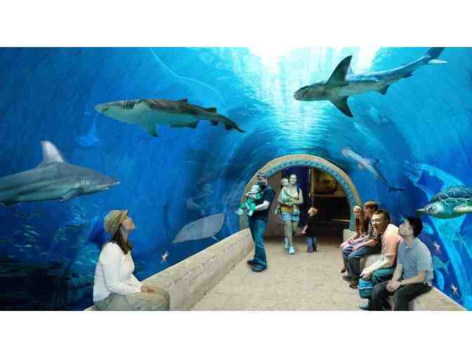 Loveland Living Planet Aquarium in Draper UT-Two VIP Passes