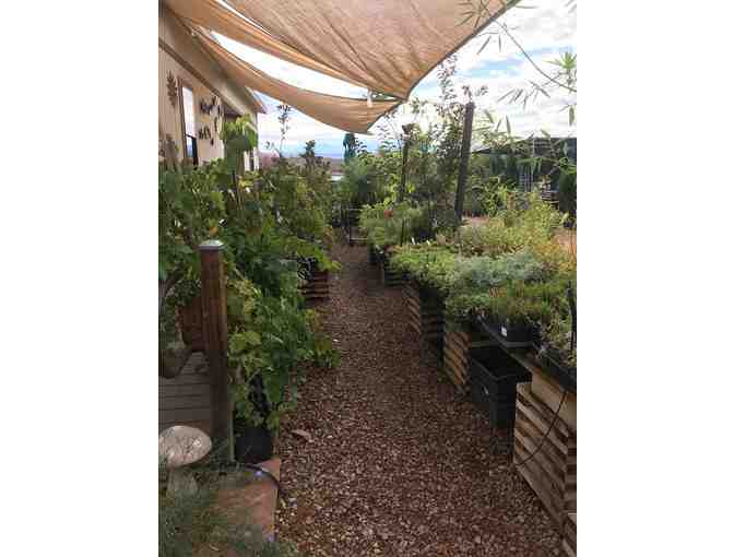Wildland Scapes Nursery-$25.00 Gift Certificate