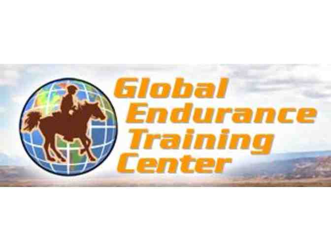 Global Endurance Training Center - 2 Hour Horseback Riding Lesson