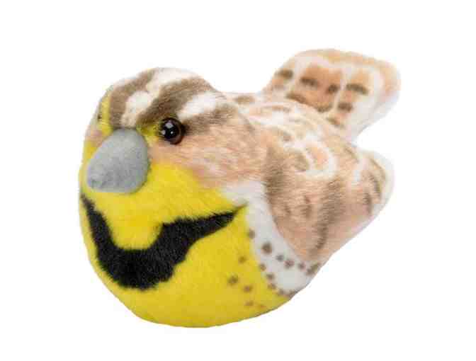 Chirping Western Meadowlark Plush Toy from CNHA!