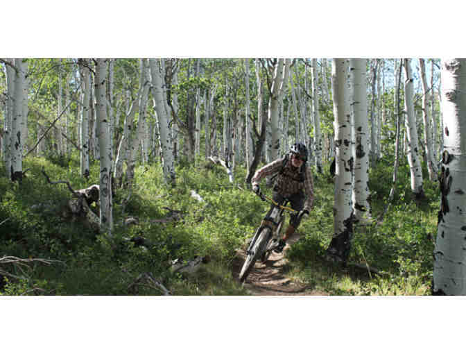 Half Day Mountain Bike Tour for 2 by Rim Tours