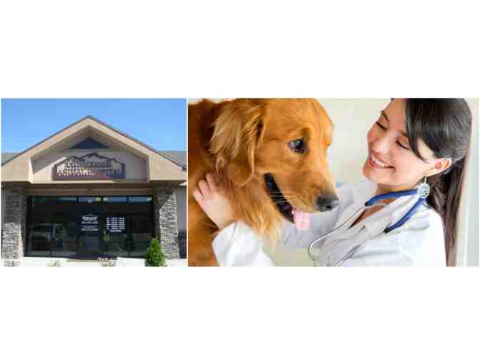 Mill Creek Animal Hospital - $50 Gift Certificate for Pet Health Services