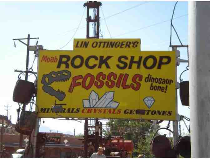 Moab Rock Shop - Fish Vertebrae Fossil