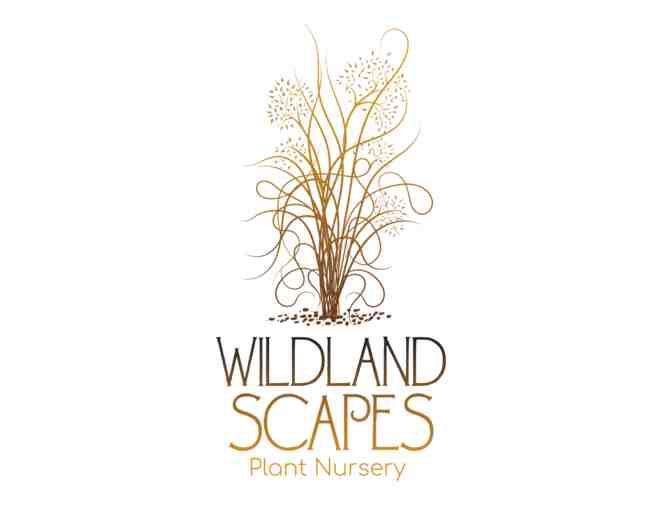 Wildland Scapes Nursery - Coolaroo Ready-to-Hang Shade Sail, 10 ft triangle (Walnut)