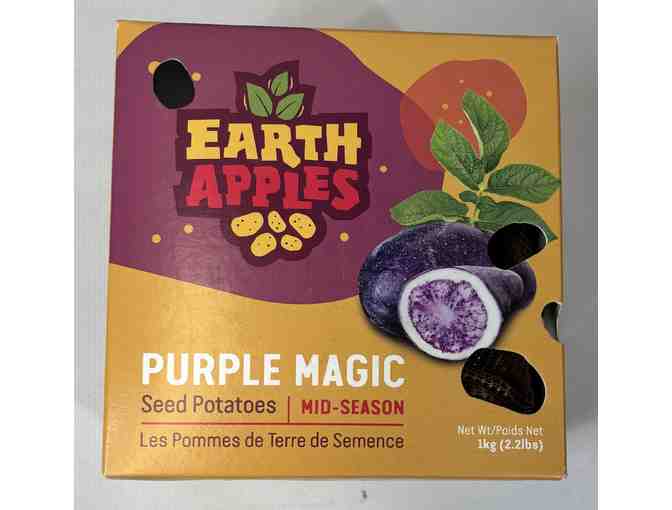 Gardening & Landscaping Package: Grow & Beautify Your Outdoor Space