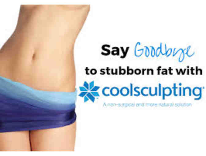 CoolSculpting Consult and 1 CoolAdvantage Cycle - Photo 1