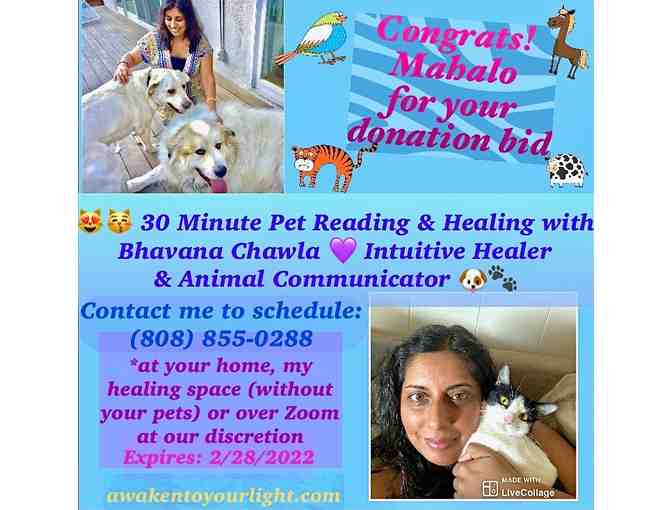 30-minute Pet Reading, Book and Pet Shampoo