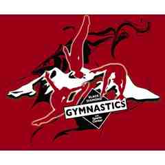 Black Diamond Gymnastics