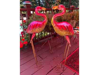 This one has a leg up on the others